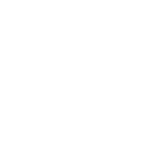 secure-shield-image